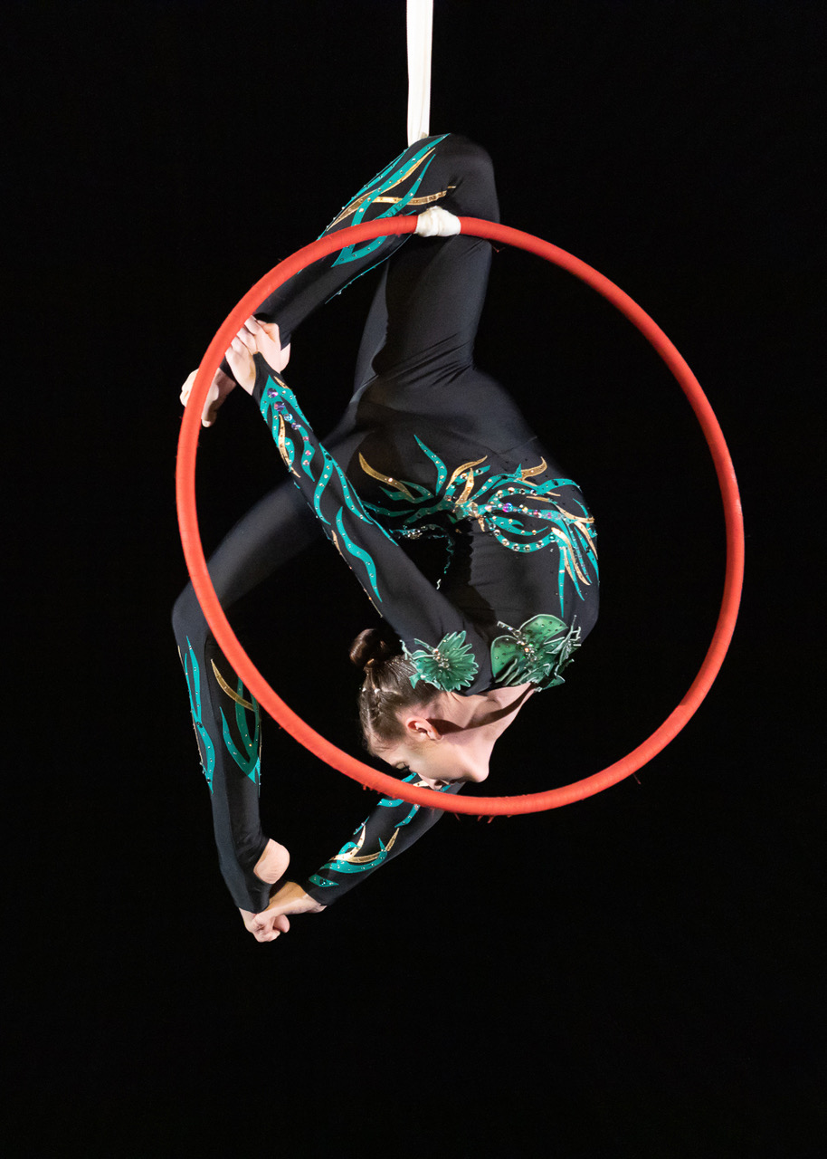 czech aerial hoop